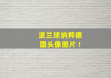 波兰球纳粹德国头像图片 !